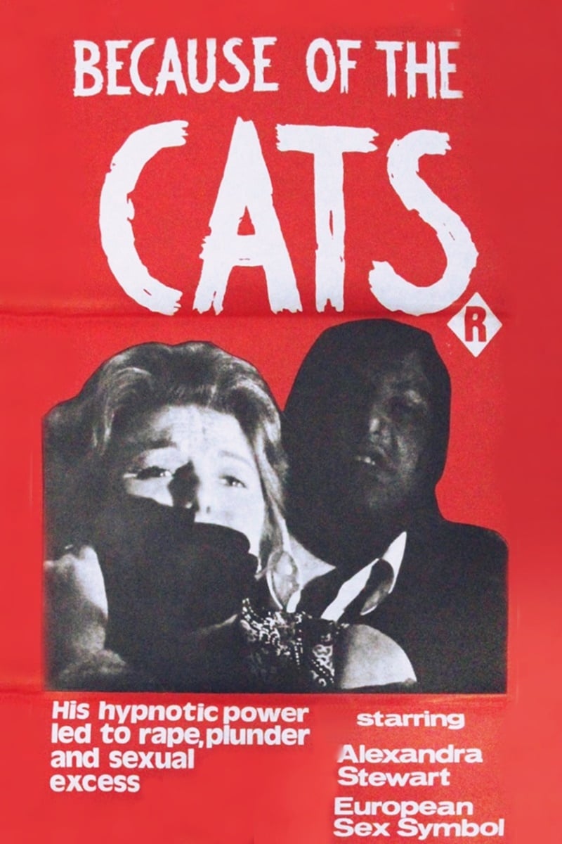 постер Из-за кошек